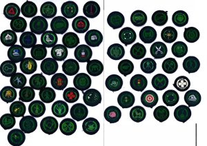 Guide interest badges 1960s, '70s and '80s