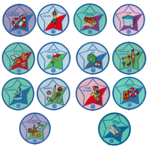 Guide Interest Badges 2013-2019