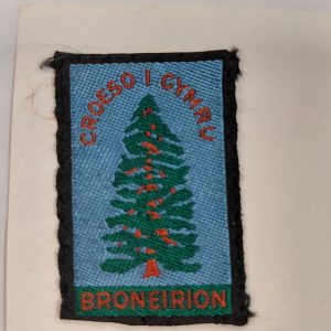 Wales Country Ribbons & Badges