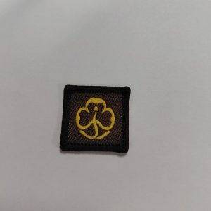 Brownie birthday - Move to Guides