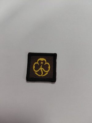 Brownie birthday - Move to Guides