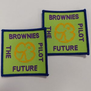 Brownies - Pilot the future