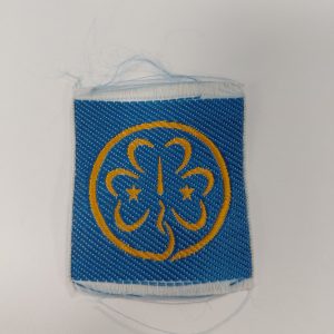 WAGGS - World Ribbon