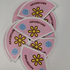 Brownie Adventure Badge 2014-19
