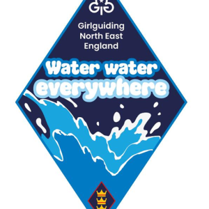 Water, water everywhere challenge badge