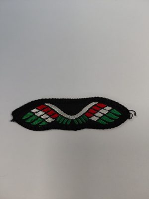 Brownie Guide wings c1961