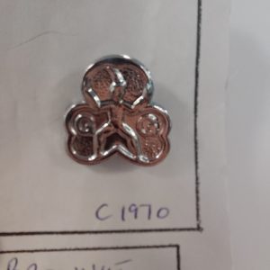 Brownie promise badge