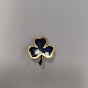 4 year badge - Guides