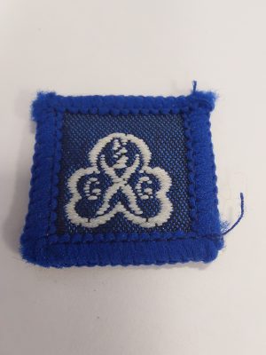 Brownie year badge - moving to Guides