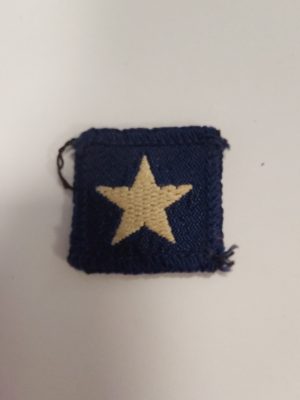 Guide - first year service star